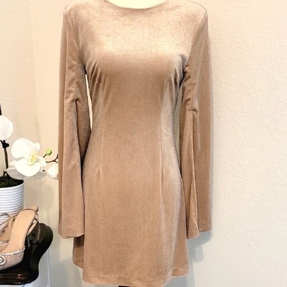 DO+BE Dresses & Skirts - DO+BE Champagne and Silver Sheath Dress